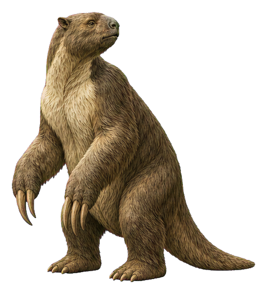 Realistic standing megatherium ground sloth with long claws and fur