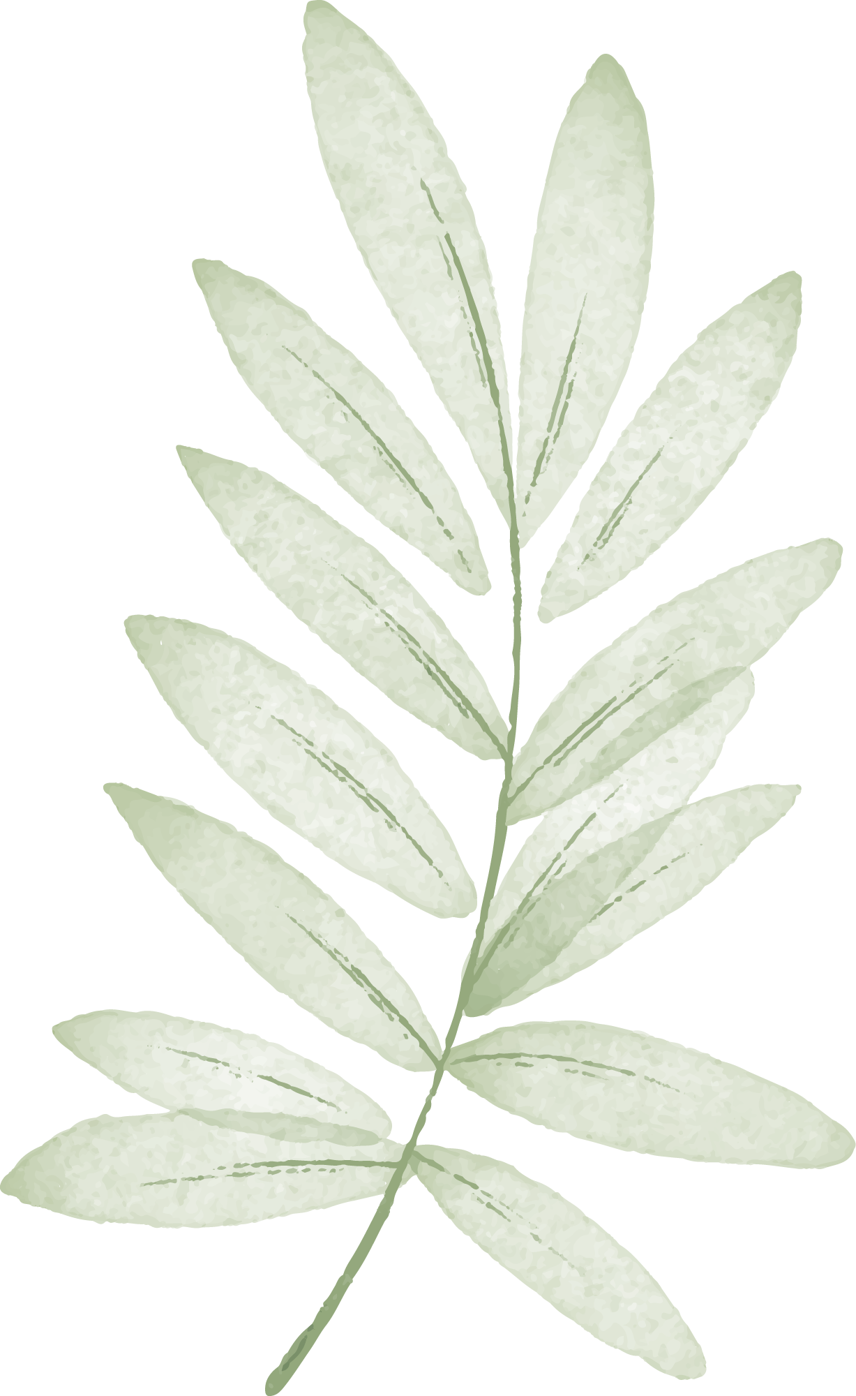 Preview for Pale-green-leafy-branch-spring-sticker-8b87b