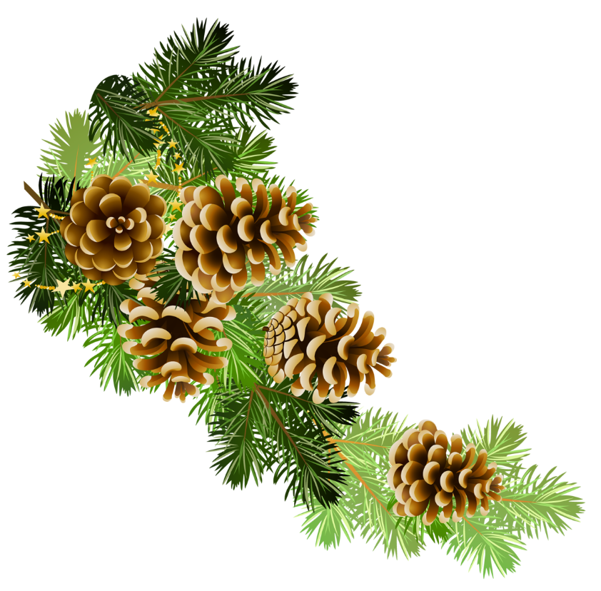 Preview for Pinecones-evergreen-branches-christmas-design-sticker-05169