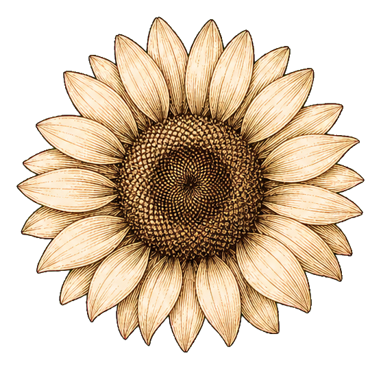 Preview for Vintage White Sunflower Sticker