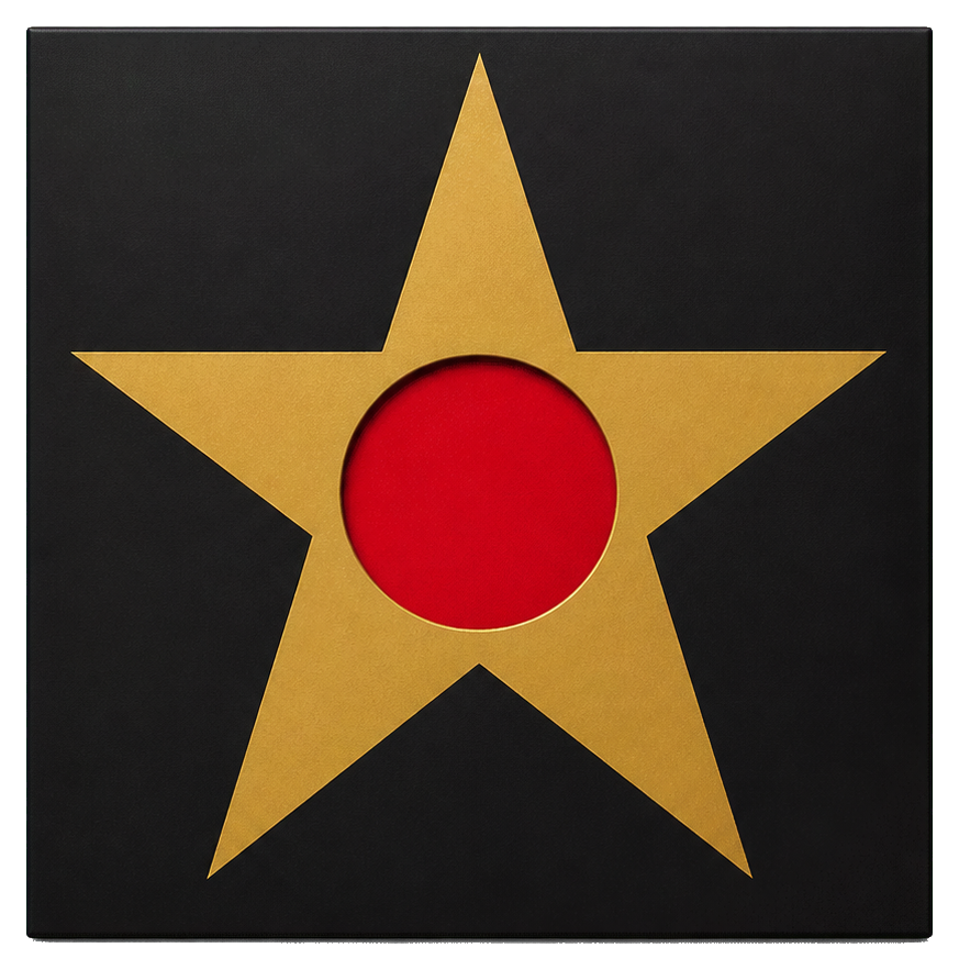 Preview for Star Record Sleeve Sticker