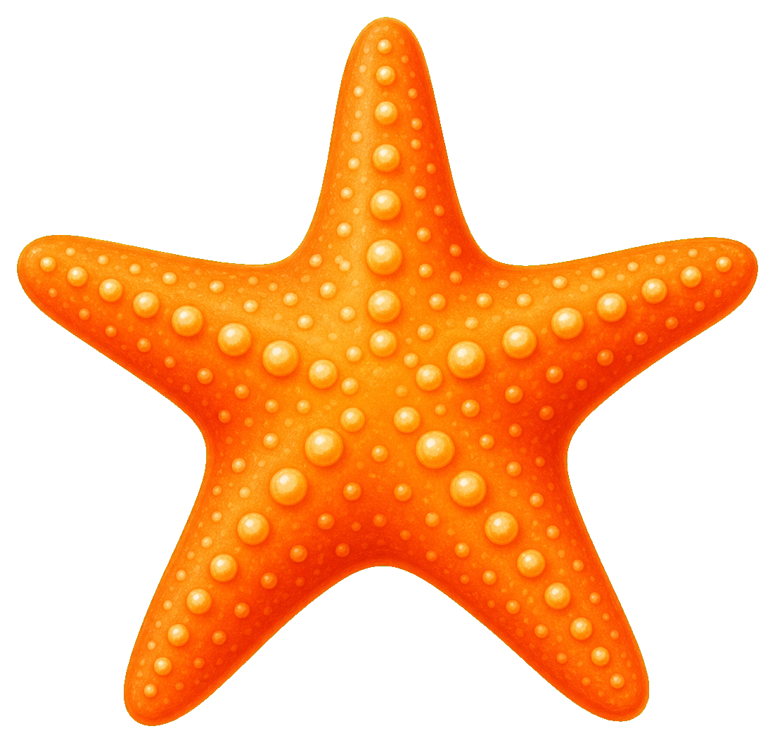 Preview for Starfish Sticker Graphic For Summer Designs