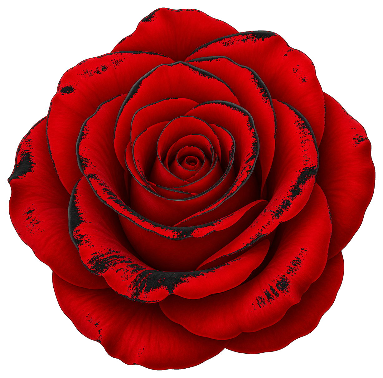 Preview for Red Rose Sticker Graphic