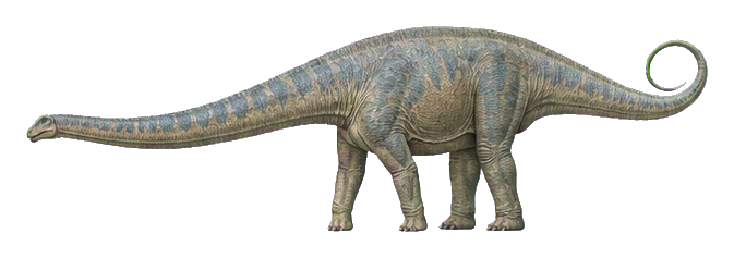 Preview for Whip-tailed Diplodocus Walker Sticker