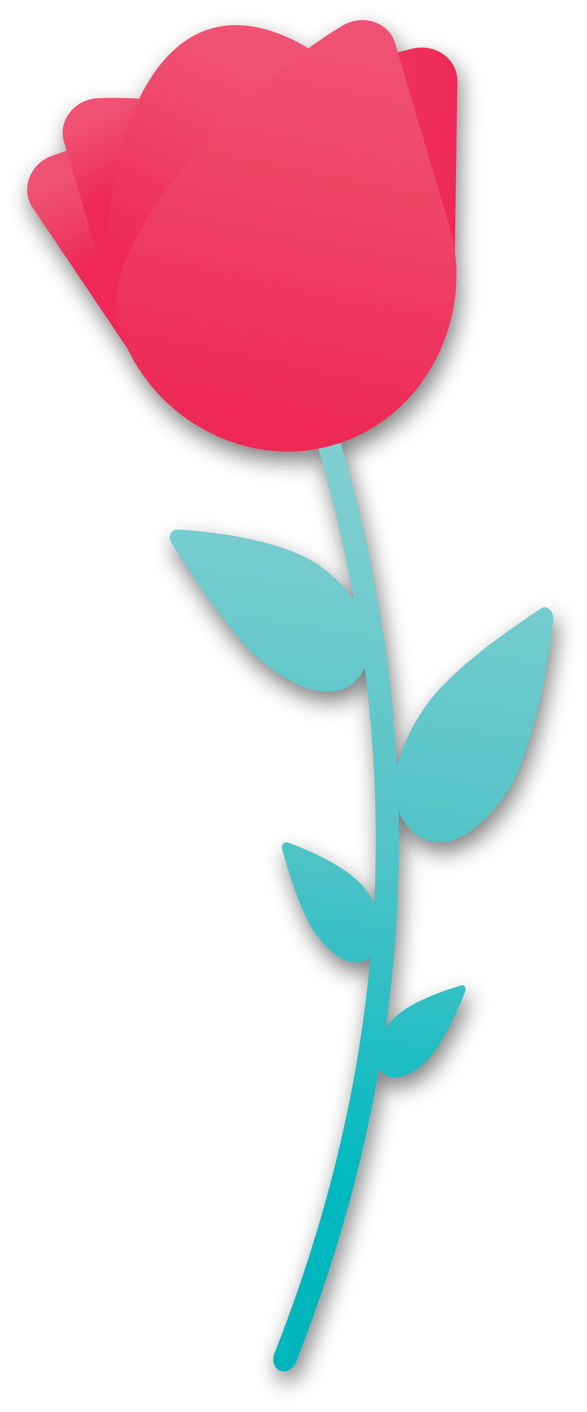 Thumbnail for Flowers