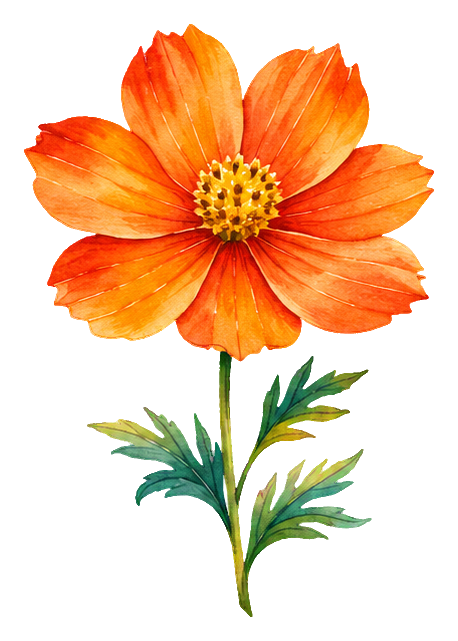 Preview for Watercolor Wildflowers Orange Cosmos