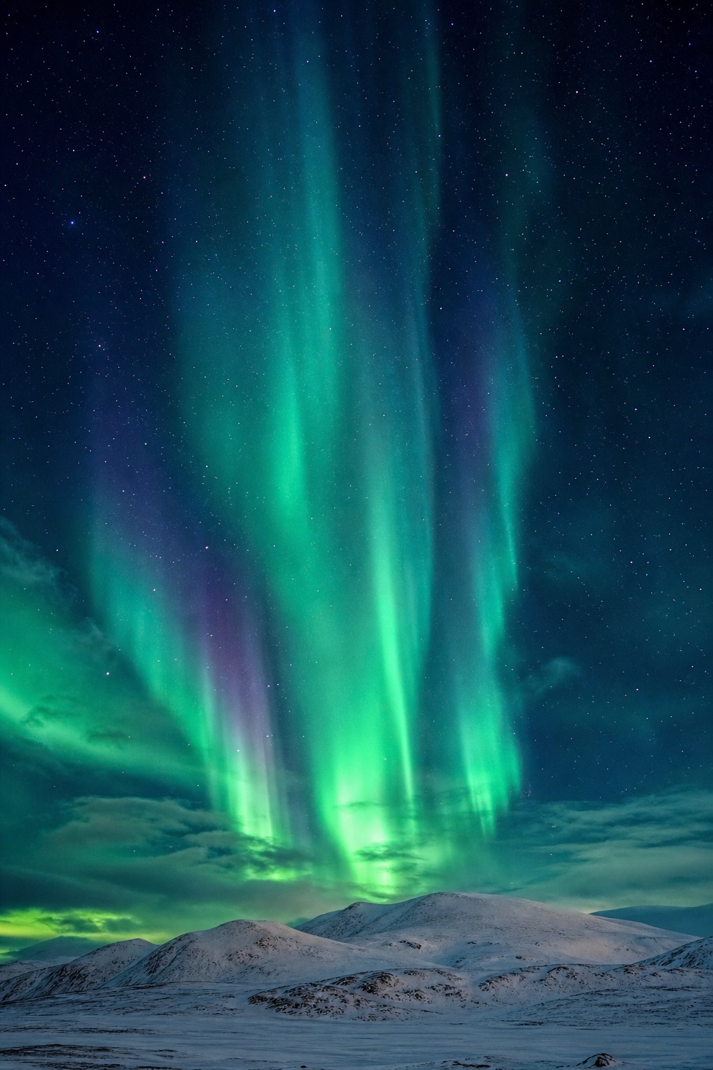 Preview for Vertical Aurora Sky Column Background