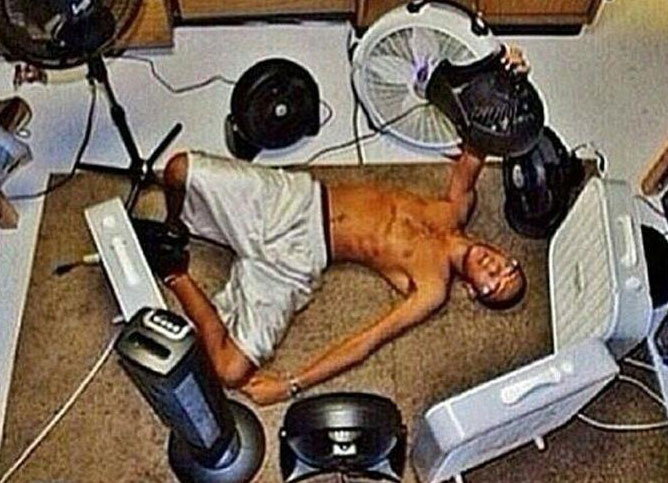 Preview for Cooling-off-with-fans-summer-meme-background-c4e2d