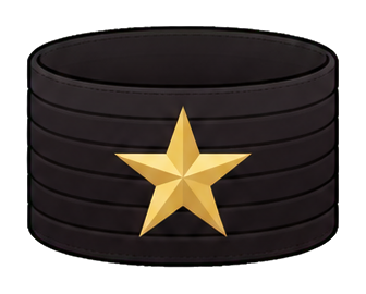 Preview for Black Captain Armband Gold Star Sticker
