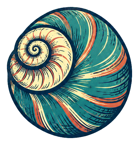Preview for Linocut Seashells Moon Shell
