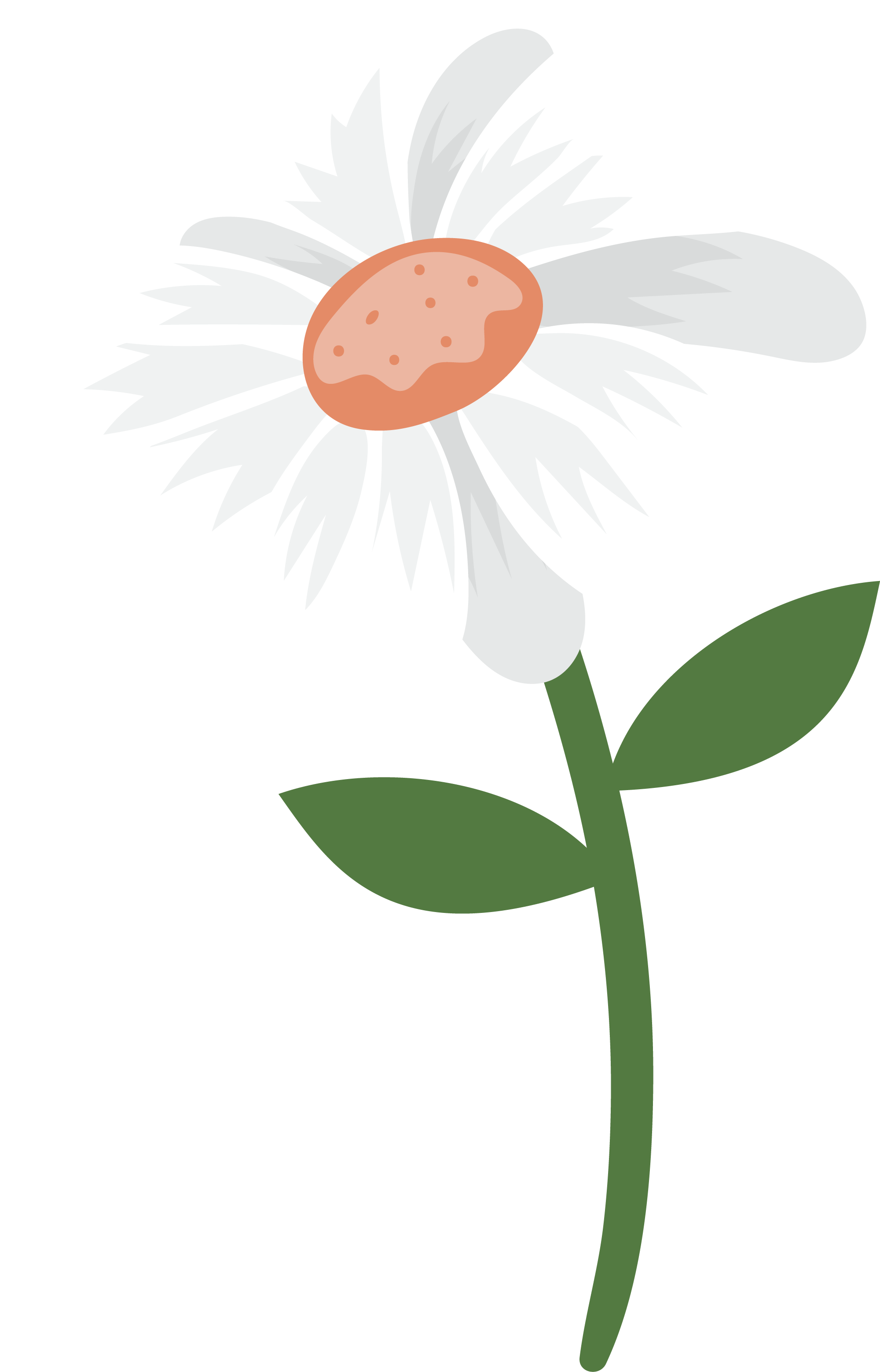 Preview for Simple-white-flower-illustration-spring-sticker-d5b9b