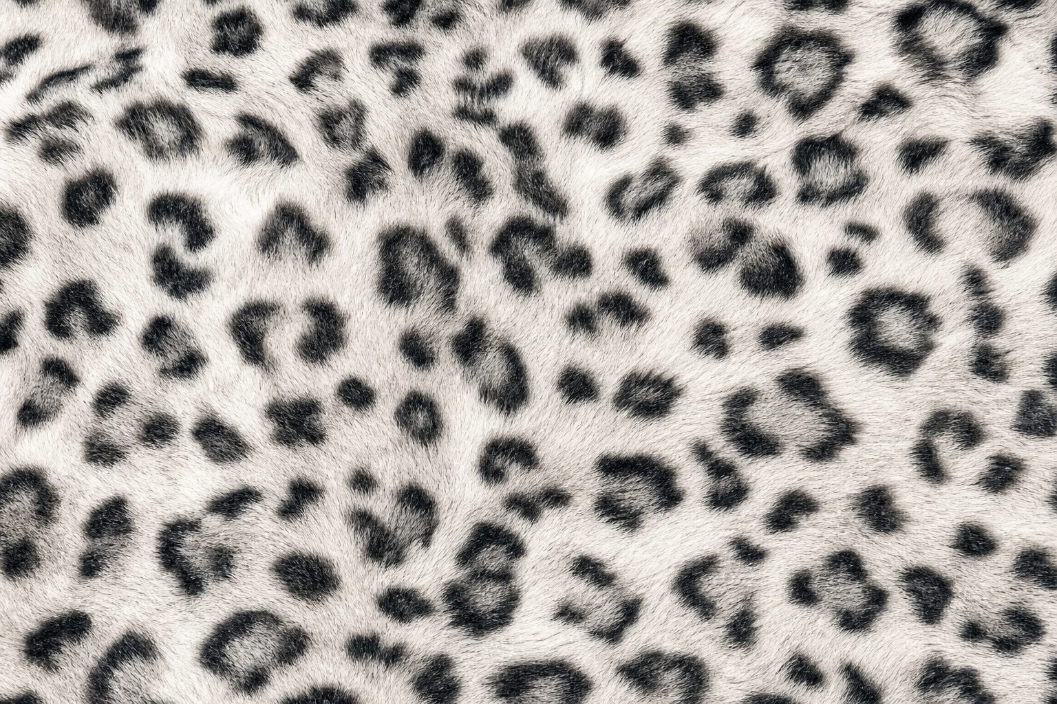 Preview for Snow Leopard Print Stock Background