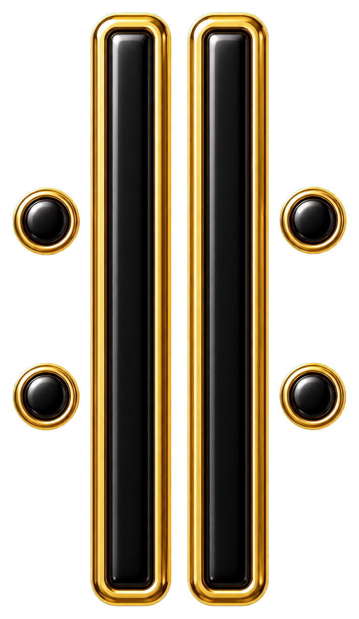 Repeat sign music symbol with two vertical bars and four dots.