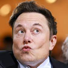 Preview for Elon-musk-portrait-meme-background-89ef6