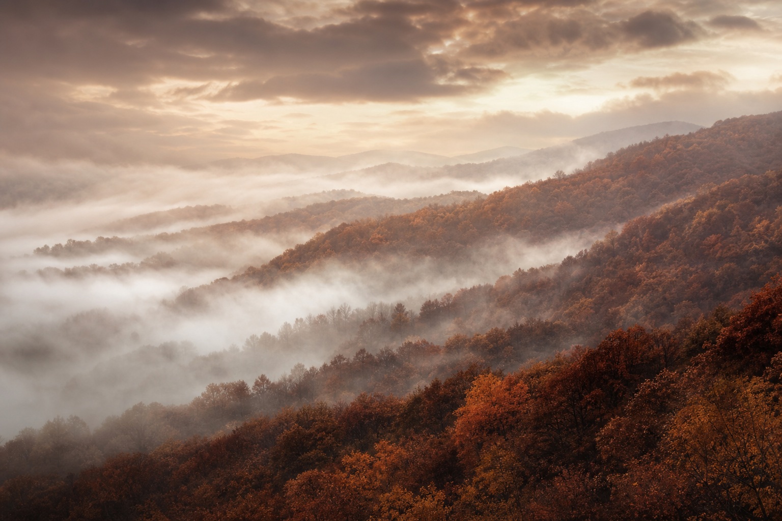 Preview for Autumn Valley Haze Background