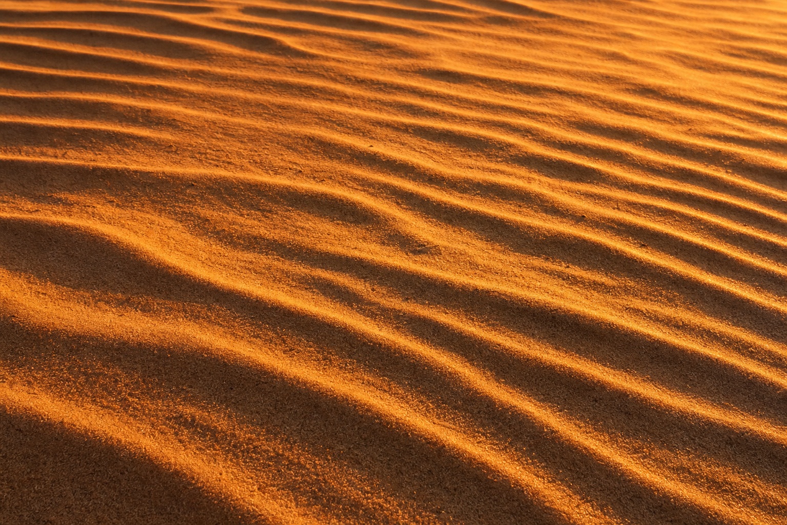 Preview for Wind-carved Sand Texture Background
