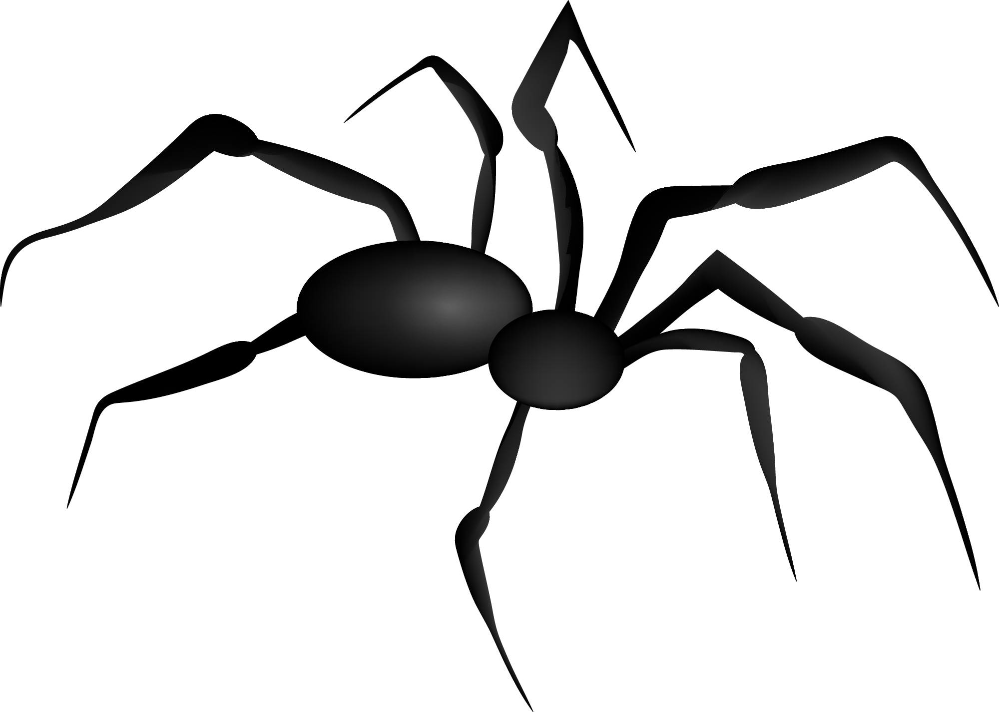 Thumbnail for Spiders