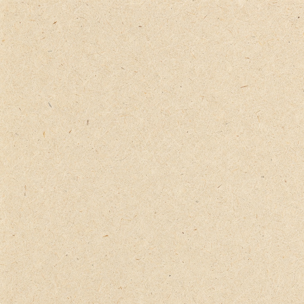 Preview for Recycled Paper Texture Background