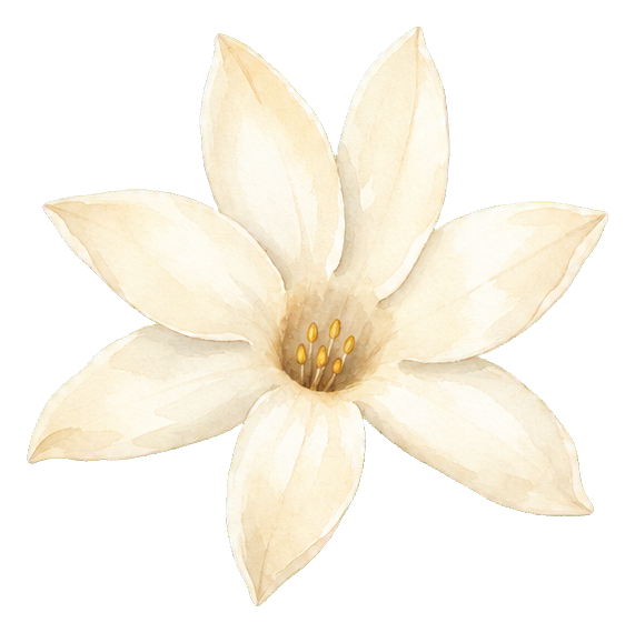 Preview for Arabian Jasmine Watercolor Sticker