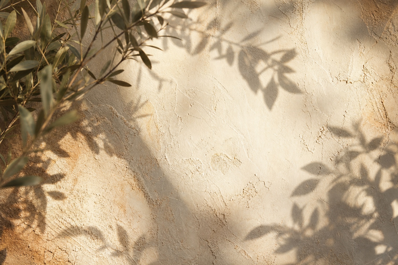 Leaf shadows falling across a warm plaster wall with a soft natural light texture.