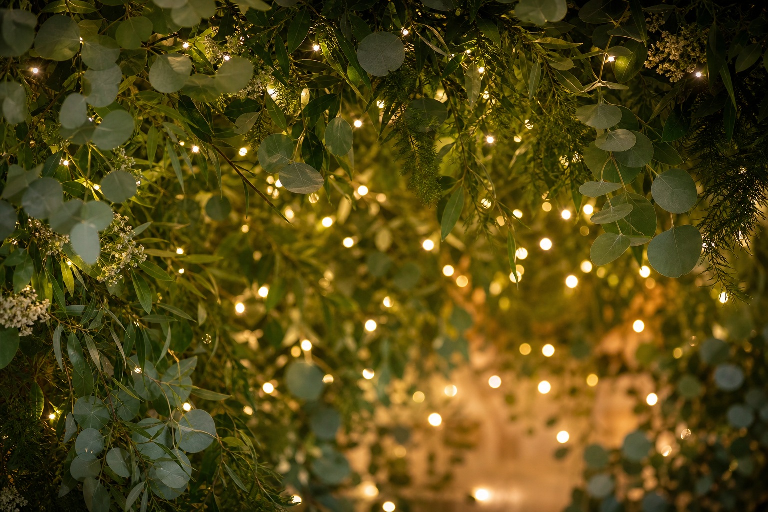 Eucalyptus leaves and greenery with warm soft lights and blurred bokeh background