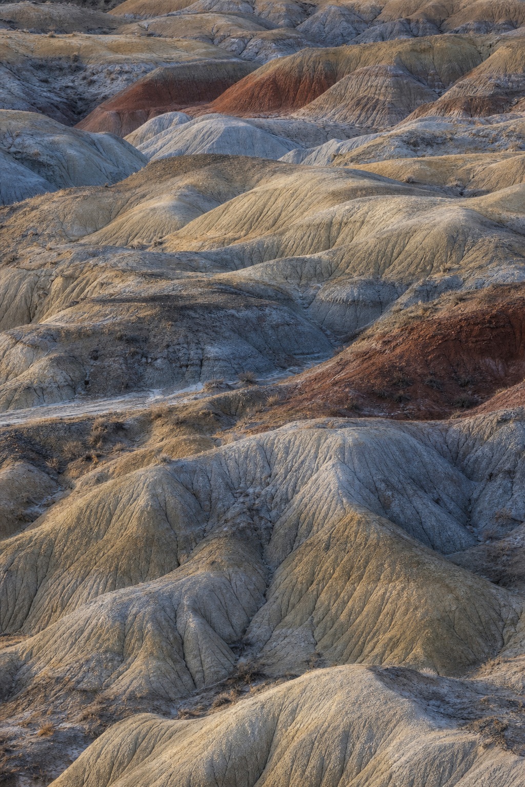 Layered eroded clay ridges in a dry badlands landscape under soft winter light.