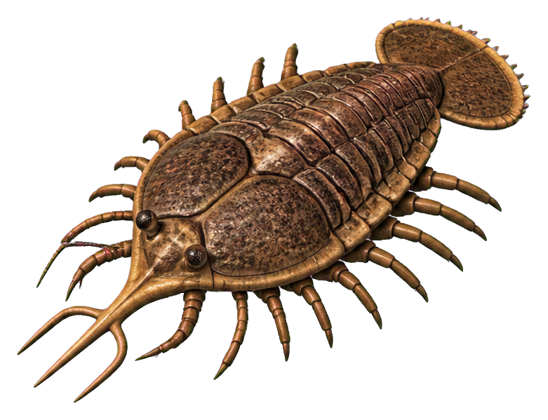 Three-pronged brown trilobite with long front spines and segmented shell