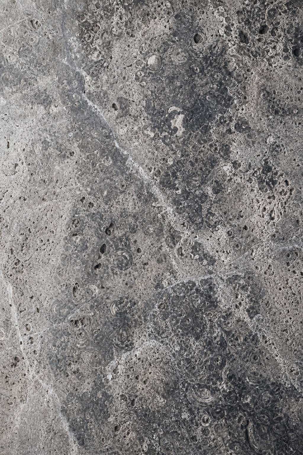 Smoky charcoal natural stone surface with fossil grain and textured mineral pattern