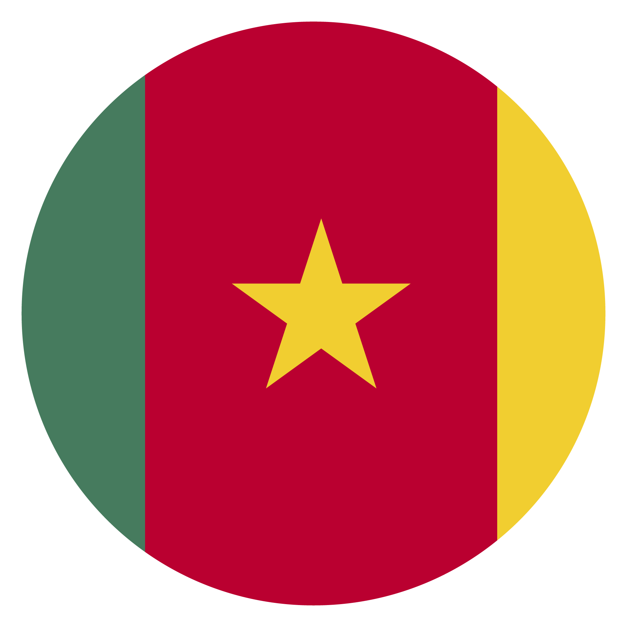 Preview for Cameroon-flag-icon-circle-world-cup-sticker-8beb3
