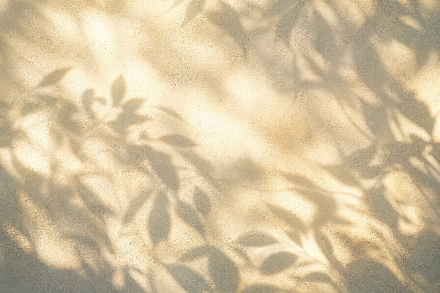 Preview for Warm Ivory Botanical Shadow Background