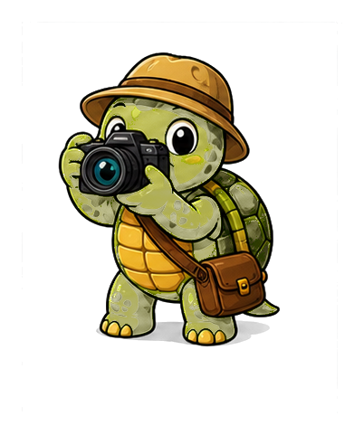 Preview for Photographer Turtle Sticker