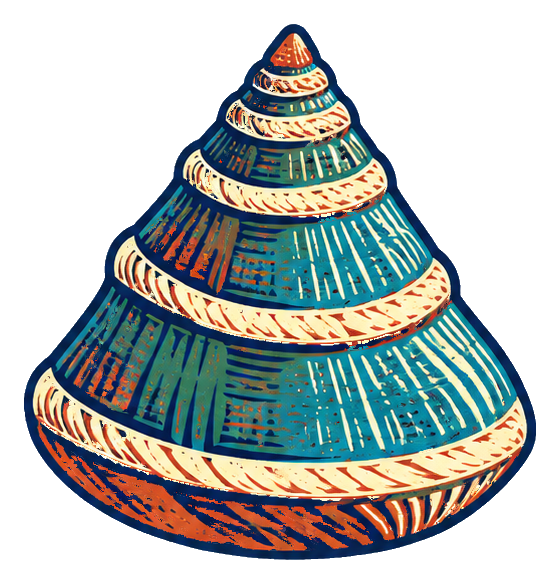 Preview for Linocut Seashells Ribbed Cone