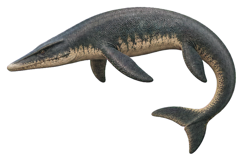 Preview for Ram-snout Tylosaurus Sticker