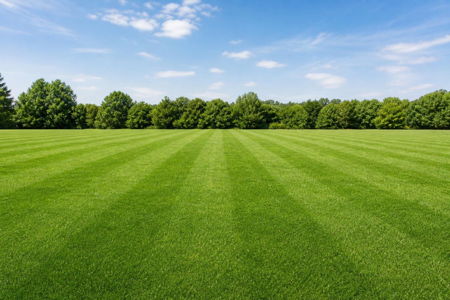 Preview for Empty Soccer Pitch Stripes Background