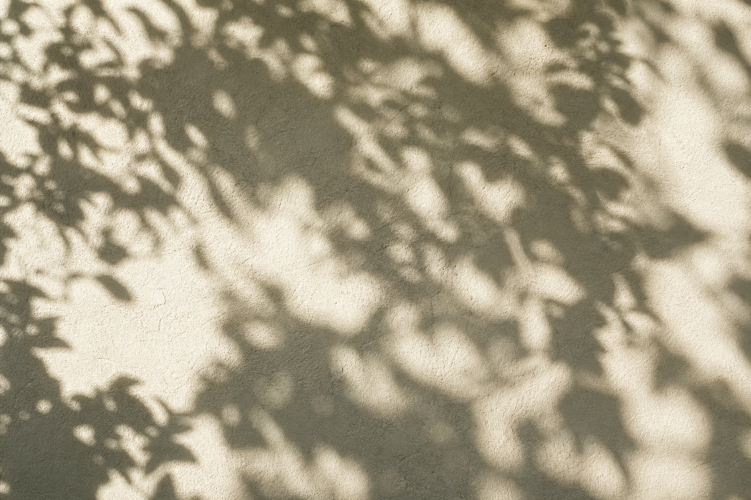 Preview for Dappled Garden Shadow Background