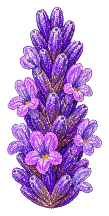 Preview for Crayon Lavender Stem Sticker