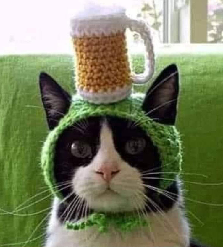 Preview for Cat-in-beer-hat-st-patricks-background-75e4f