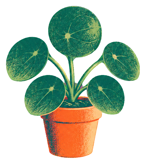 Preview for Risograph Houseplants Pilea