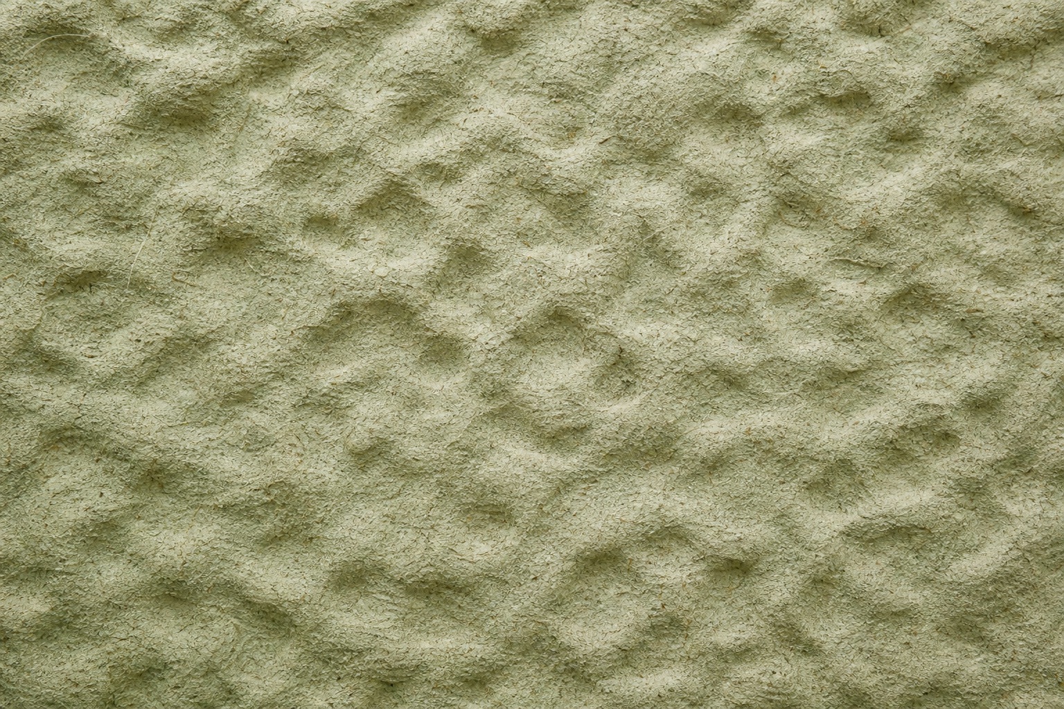 Preview for Sage Fiber Molded Pulp Relief Background