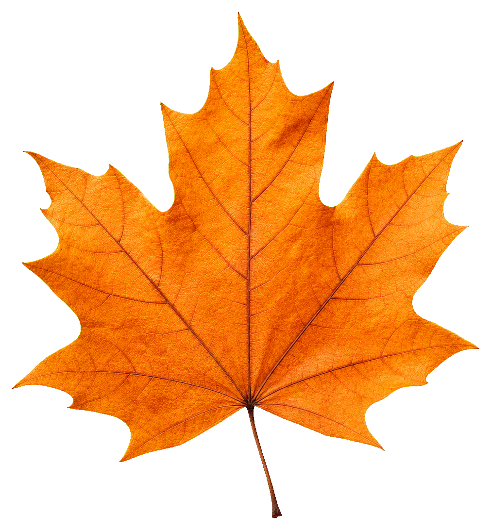 Preview for Autumn Leaf Orange Sticker