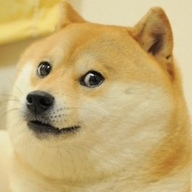 Preview for Doge-meme-dog-dog-meme-background-5b04b