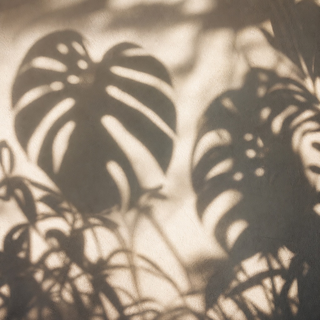 Preview for Botanical Shadow Pattern Background
