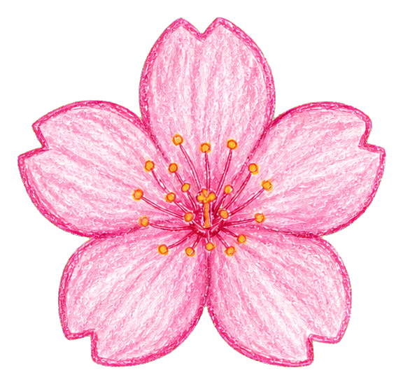 Preview for Spring Sakura Wax Crayon Blossom Sticker