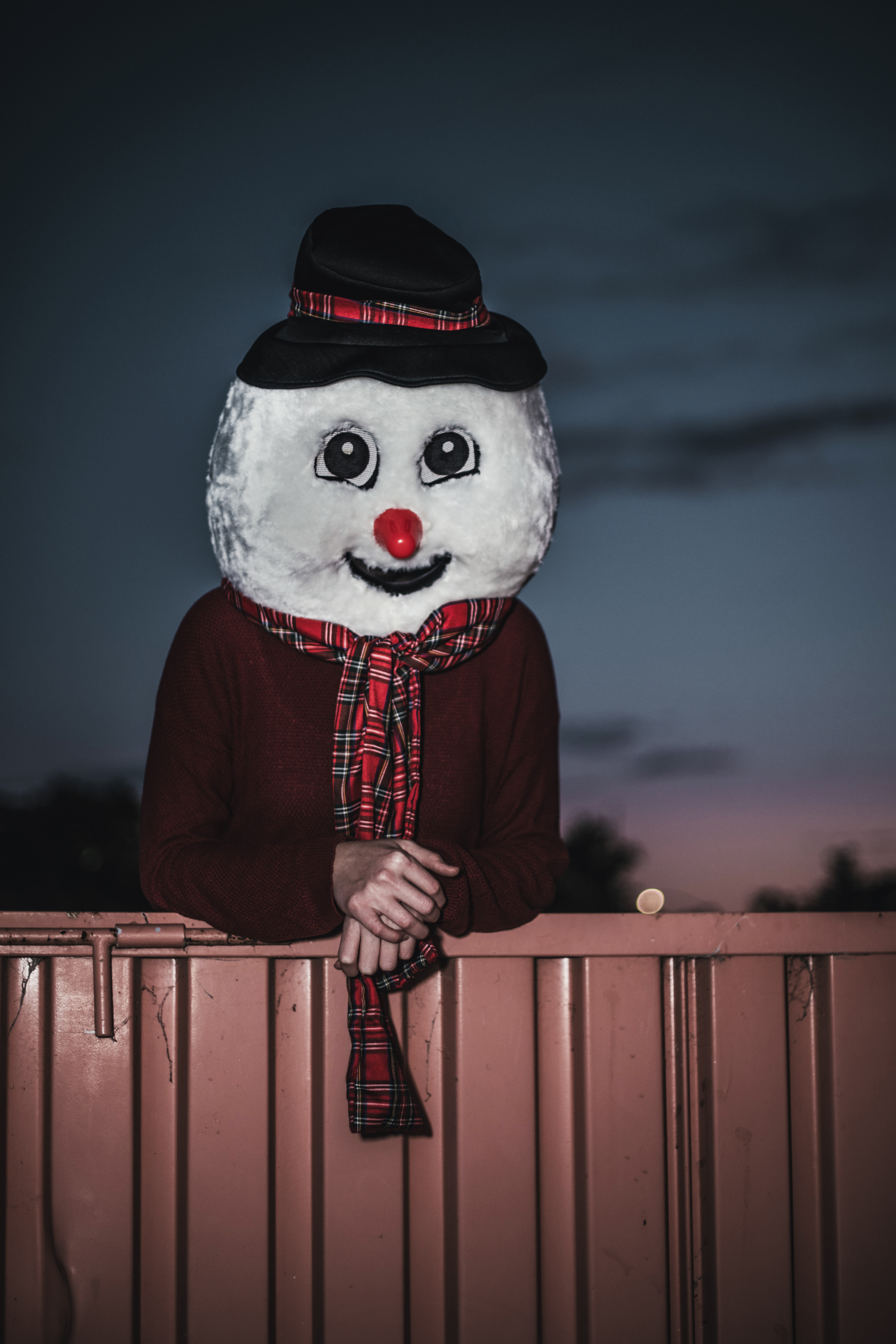 Preview for Snowman-by-fence-at-dusk-human-meme-background-f9582