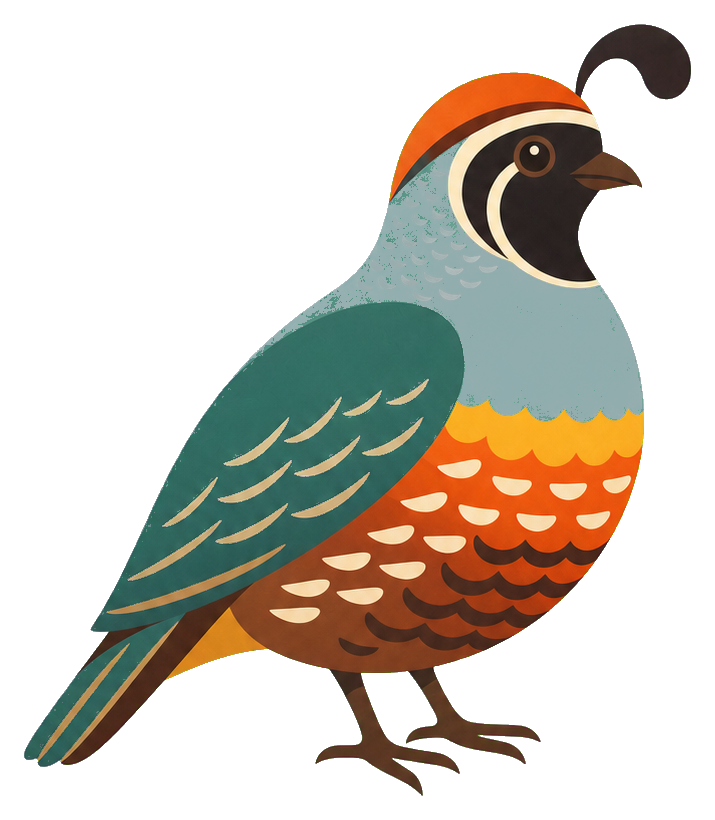 Preview for California Quail Sticker Graphic