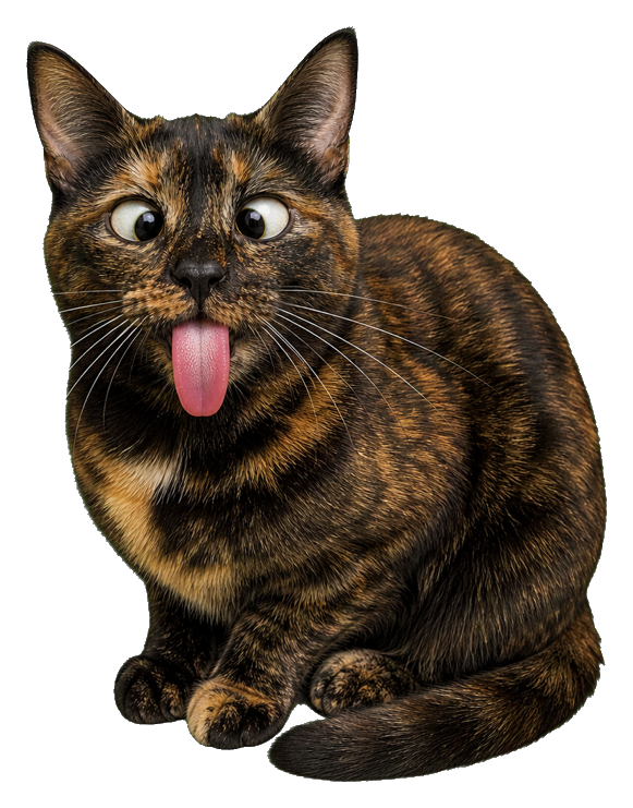 Preview for Chaotic Tortoiseshell Blep Cat Sticker