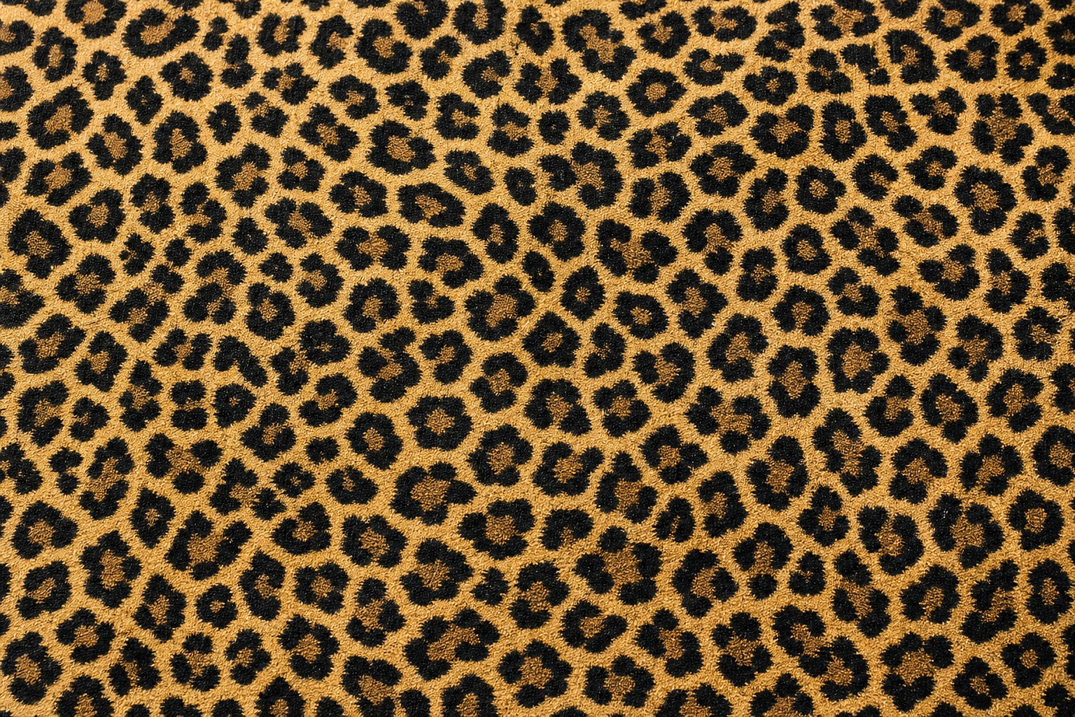 Preview for Cheetah Print Close Background