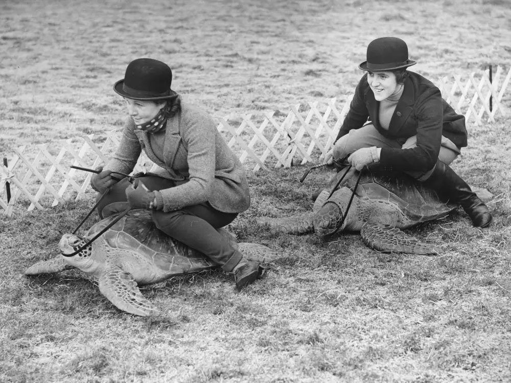 Preview for Vintage-outdoor-activity-vintage-meme-background-f0540