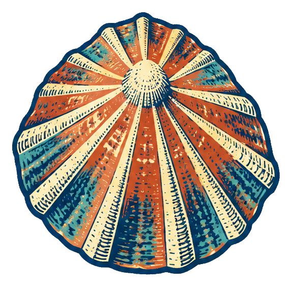 Preview for Linocut Seashells Limpet Shell
