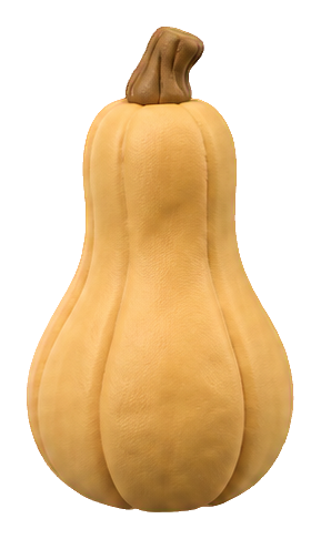 Preview for Clay Garden Vegetables Butternut Squash